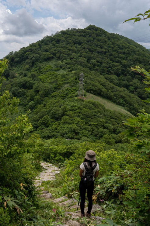 Half Day Hike To the Top of Old Mikuni-kaido Pass - Good To Know