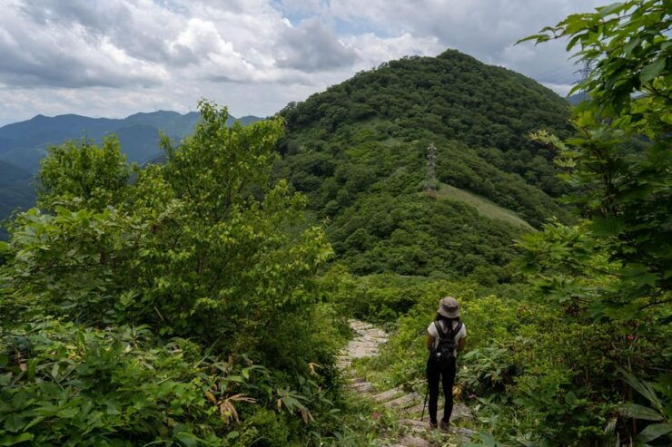 Half Day Hike To the Top of Old Mikuni-kaido Pass - Booking Your Adventure