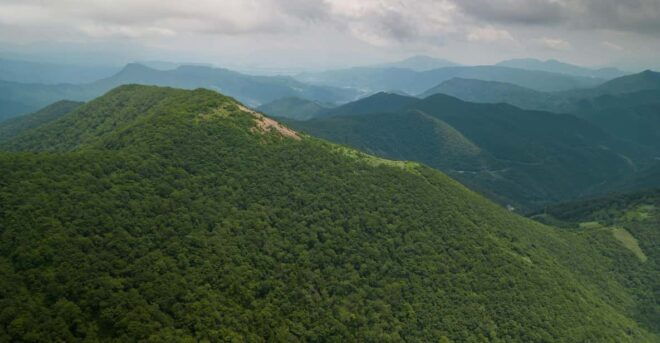 Half Day Hike To the Top of Old Mikuni-kaido Pass - Guided Tour Experience