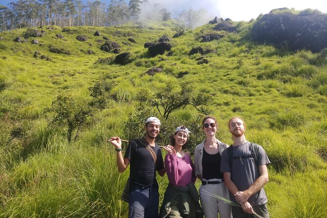 Half Day Hiking in Munnar Trekking Tour - Meeting Point Details