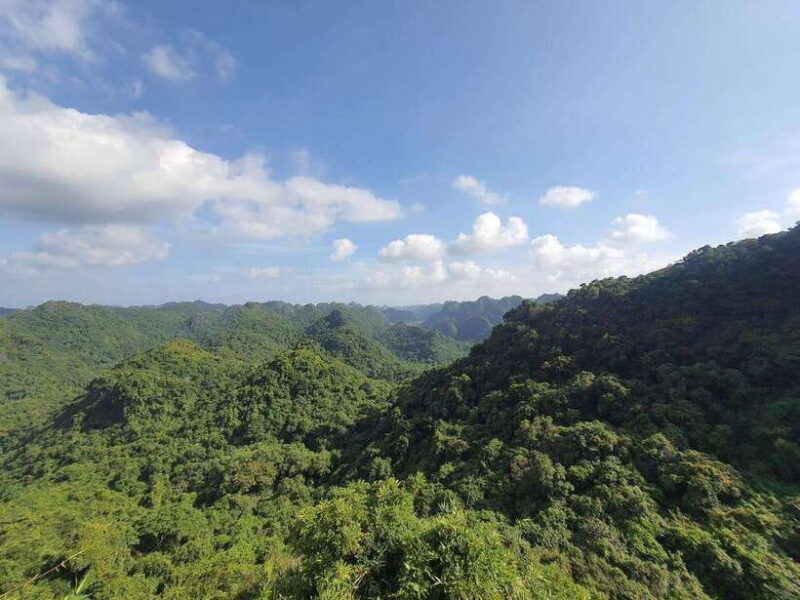 Half Day Hiking to Cat Ba National Park With a Guide - Itinerary and Activities