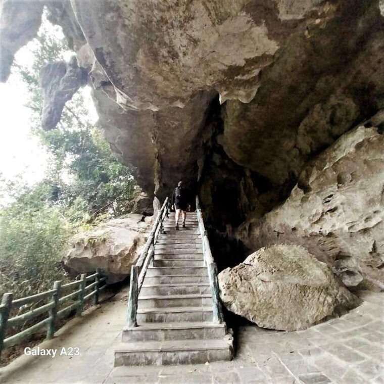 Half Day Hiking to Cat Ba National Park With a Guide - Recommendations