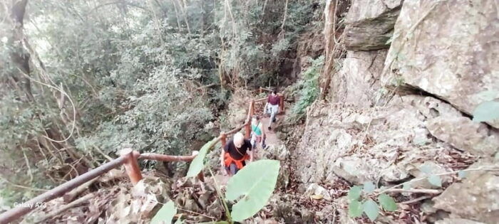 Half Day Hiking to Cat Ba National Park With a Guide - Frequently Asked Questions