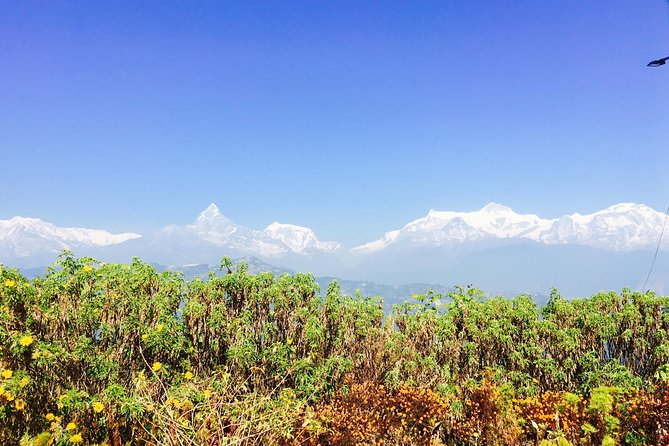 Half Day Hiking to Sarangkot From Pokhara - The Sum Up