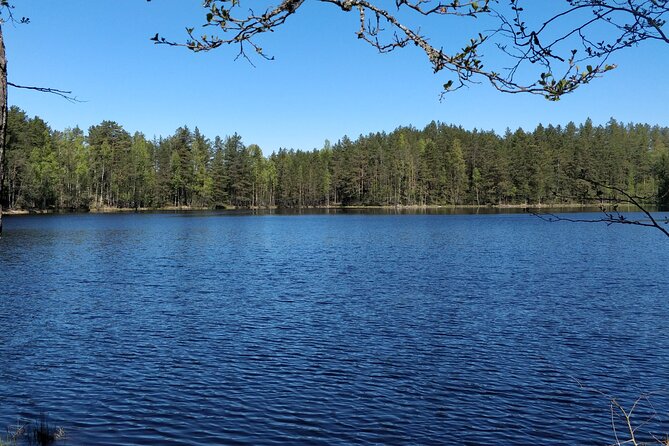 Half Day Hiking Tour in Beautiful Estonian Nature - Itinerary
