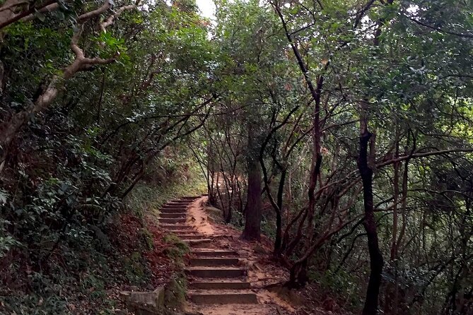 Half-day Hiking Tour in The Green to Lion Rock in Hong Kong - The Sum Up