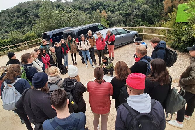 Half Day Hiking Tour Through La Fordada in La Rapita - Fitness Level Requirements for the Hiking Tour