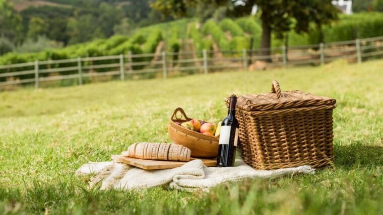 Half-Day Hills Experience to San Gimignano With Pic Nic Wine - Important Information for Travelers