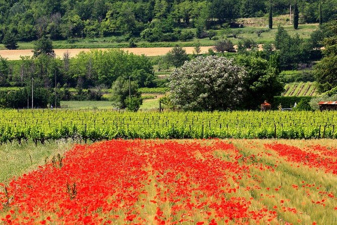 Half Day Hilltop Villages of Luberon Tour From Avignon - Questions