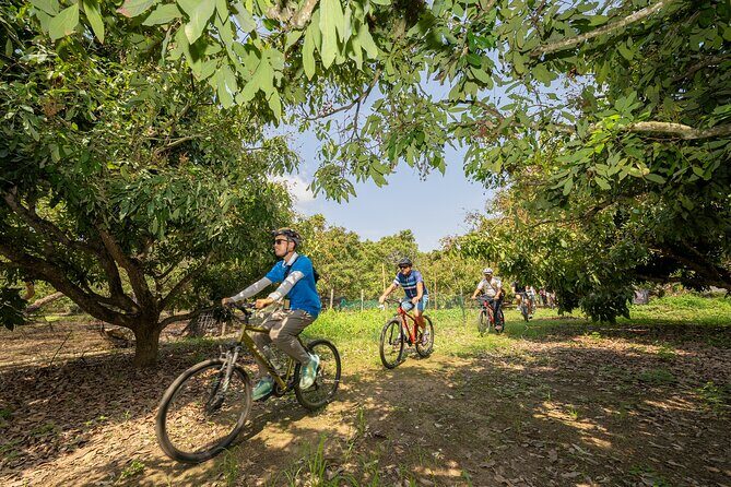 Half Day Historical and Cultural Experience Bicycle Tour - An Authentic Ride through Chiang Mai’s Heart