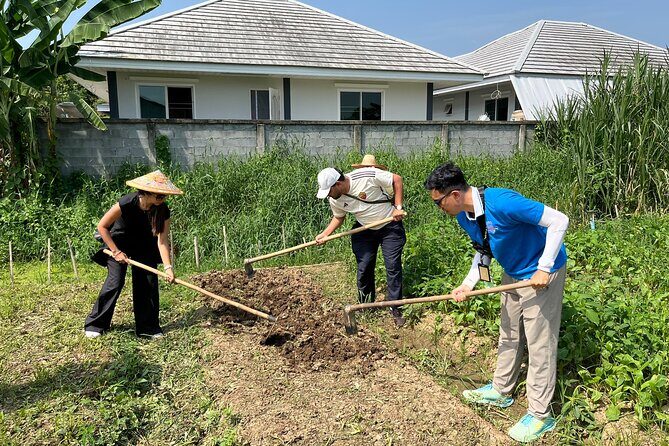 Half Day Historical and Cultural Experience Bicycle Tour - Who Will Love This Tour?