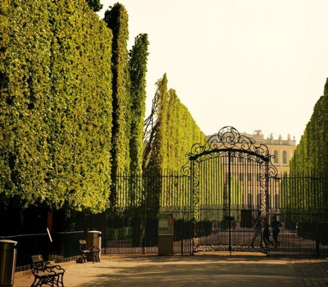 Half-Day History Tour of Schönbrunn Palace - Visit the Porcelain Room