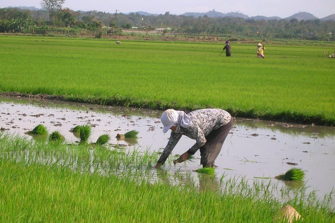 Half-Day Hoi An Countryside and Villages Tour by Bike - Lowest Price Guarantee