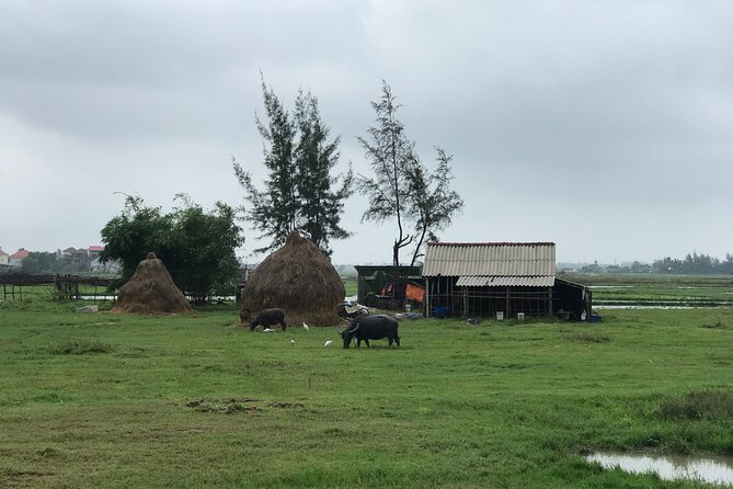 Half-Day Hoi An Countryside and Villages Tour by Bike - Common Questions