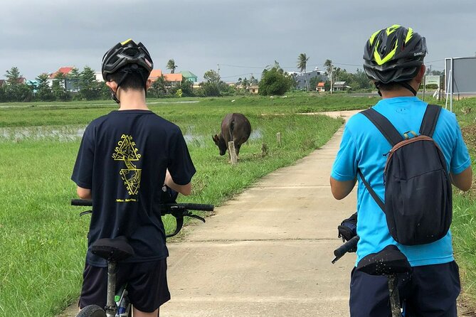 Half-day Hoi An Countryside Bike Tour - Scenic Routes and Landmarks