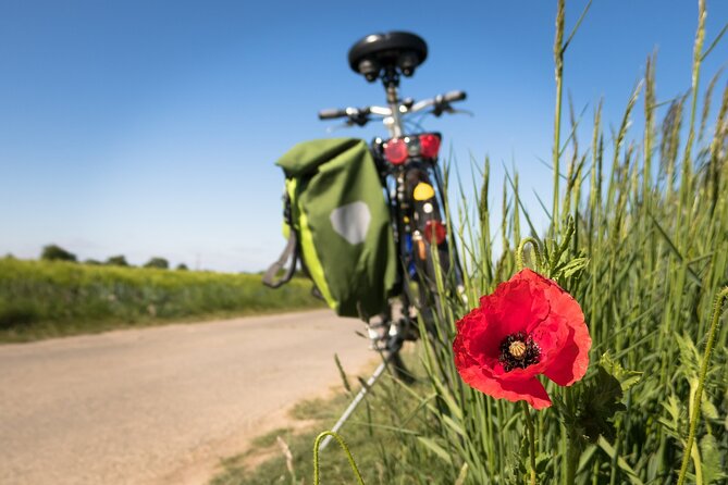 Half-day Hoi An Countryside Bike Tour - Refreshment and Lunch Break