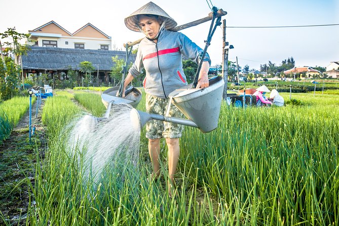 Half-day HOI AN SUNRISE OR SUNSET PHOTO TOUR - Tour Inclusions and Exclusions