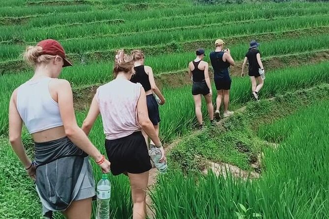 Half-Day Hometrek From Sapa With Hmong Sister House - Traveler Reviews