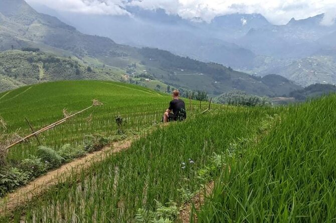 Half-Day Hometrek From Sapa With Hmong Sister House - Guide Information