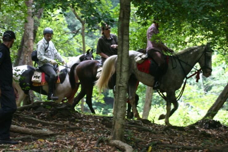 Half Day Horse Riding in Dambulla - Ride Itinerary