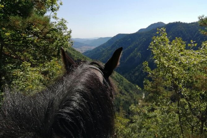 Half Day Horse Riding to Soskovcheto Preserve in Smolyan - Good To Know