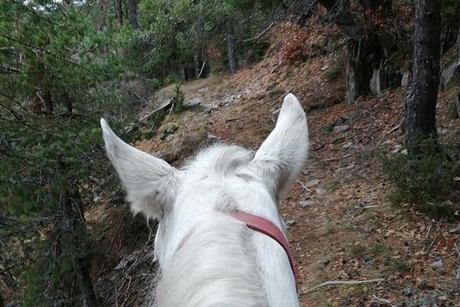 Half Day Horse Riding to Soskovcheto Preserve in Smolyan - What To Expect