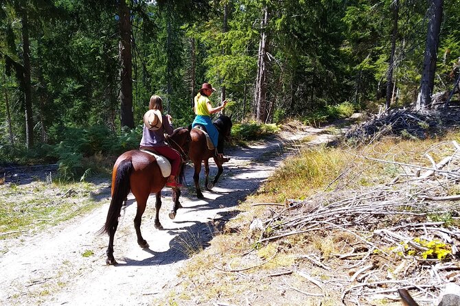 Half Day Horse Riding to Soskovcheto Preserve in Smolyan - Frequently Asked Questions