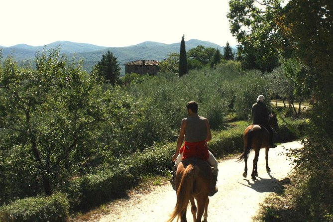 Half-Day Horseback Ride in Tuscany for Beginner Riders - Understanding the Cancellation Policy