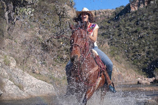 Half-Day Horseback Riding Adventure - Pricing and Booking