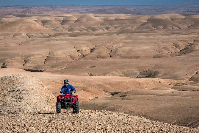 Half-Day Hot Air Balloon Flight of Atlas Mountains With Breakfast - Tour Operator and Pricing