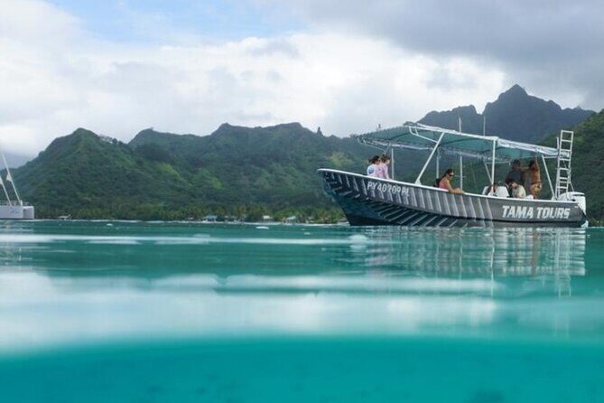 Half-Day Humpback Whales Encounter in Moorea - Practical Details