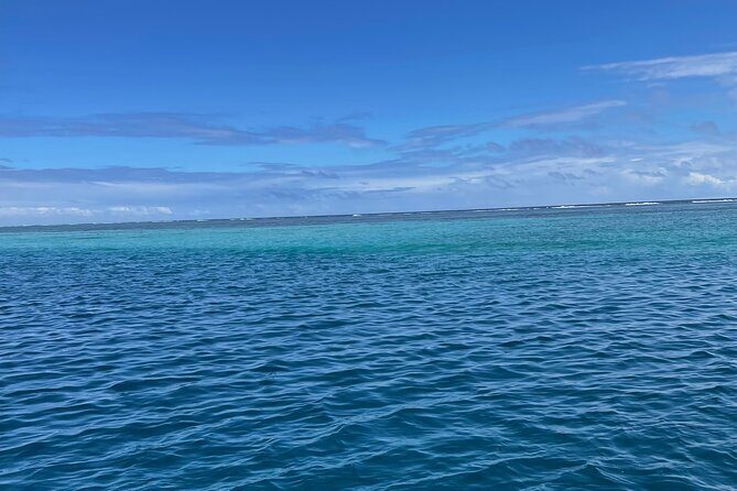 Half-Day Humpback Whales Encounter in Moorea - Final Thoughts