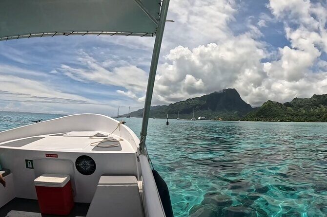 Half-Day Humpback Whales Encounter in Moorea - FAQ