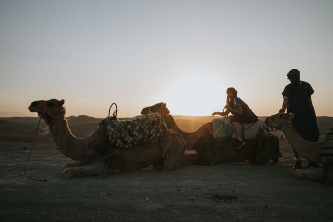 Half Day in Agafay Desert With Camel Ride, Quad Biking and Dinner Nomad Tent - Reviews and Ratings Breakdown