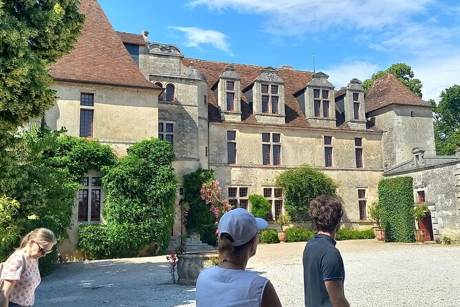 Half-Day in the Bordeaux Vineyard and Wine Tastings - Accessibility and Restrictions