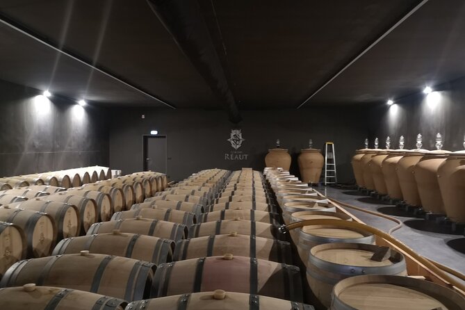 Half-Day in the Bordeaux Vineyard and Wine Tastings - Additional Tour Information