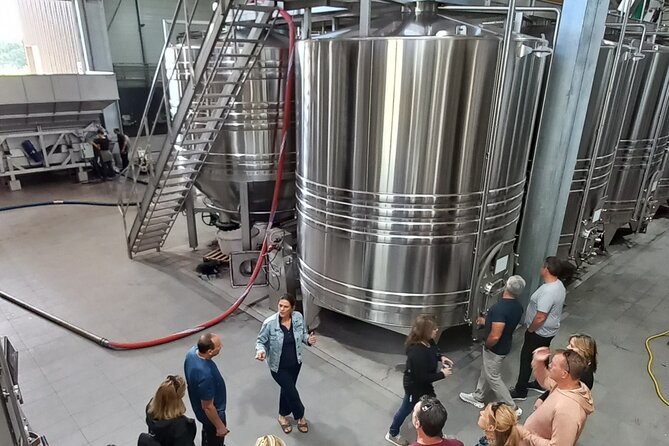 Half-Day in the Bordeaux Vineyard and Wine Tastings - Pricing and Booking Details