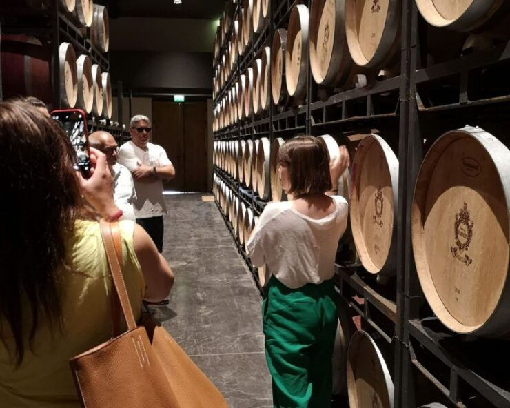 Half-Day in the Médoc From Bordeaux - 2 Wineries and 6 Wines - Tour Overview
