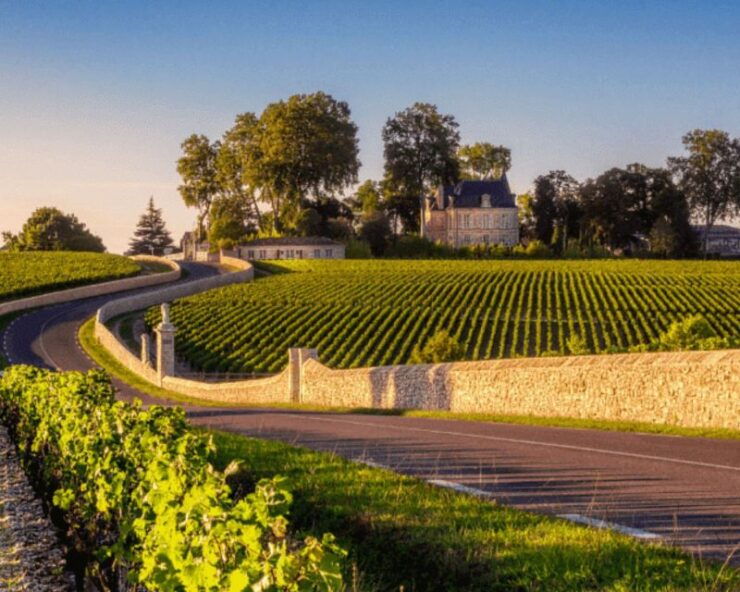 Half-Day in the Médoc From Bordeaux - 2 Wineries and 6 Wines - Winery 1: Cru Bourgeois