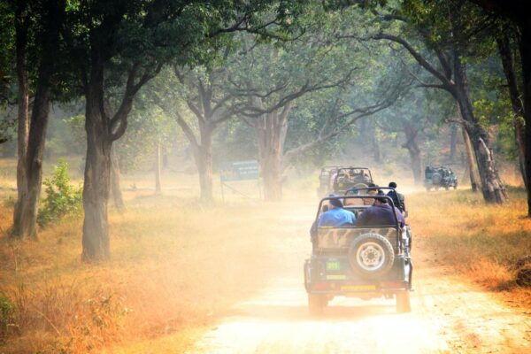 Half Day in Yala Safari - The Sum Up