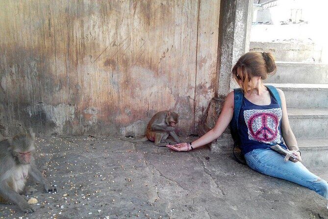 Half-Day Jaipur Heritage Tour with Monkey Temple - FAQ