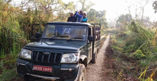 Half Day Jeep Safari in Chitwan National Park - Wildlife and Ecosystem Exploration
