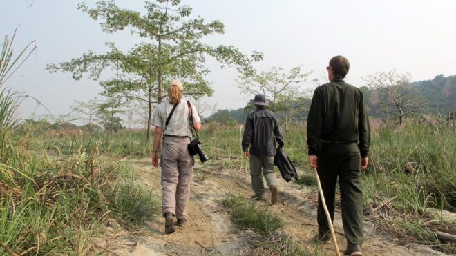 Half Day Jeep Safari in Chitwan National Park - Experience Highlights