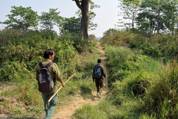 Half Day Jeep Safari in Chitwan National Park - Questions You May Have