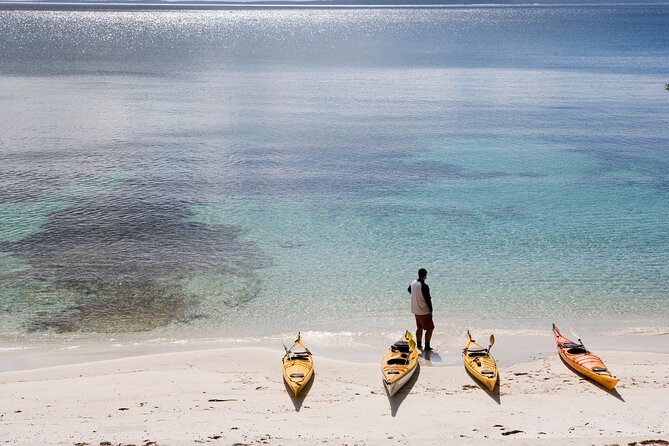 Half-Day Jervis Bay Sea Kayak Tour - Tour Details