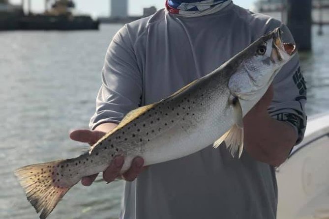Half-Day Jetty Fishing Trip From Galveston - Common Questions (FAQs)