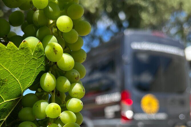 Half Day Join in Group Wine Tasting Tour - Pricing & Value Analysis