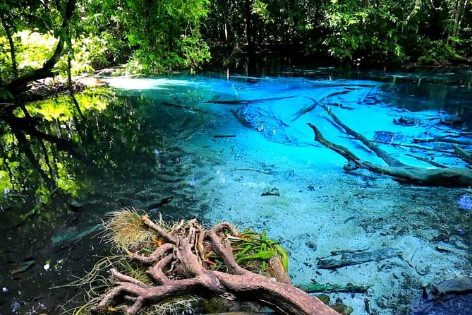Half Day Jungle Tour to Emerald Pool and Krabi Hot Spring - Tour Details