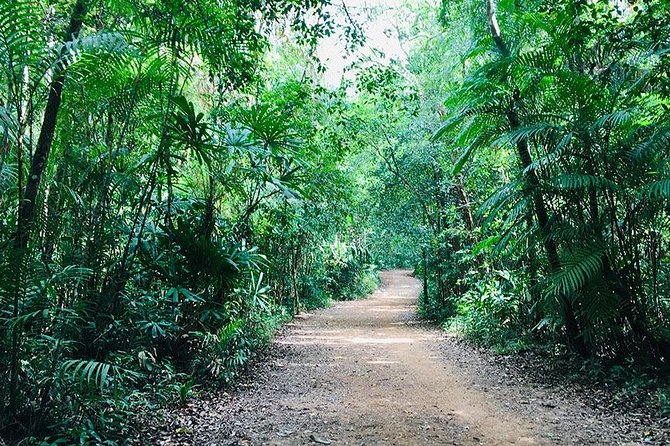 Half Day Jungle Tour to Emerald Pool and Krabi Hot Spring - Hot Springs Waterfall