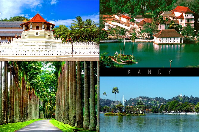 Half-Day Kandy City Tour by Tuk Tuk - Tour Highlights
